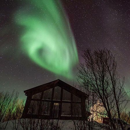 Aurora View Cabin Lyngseidet Экстерьер фото
