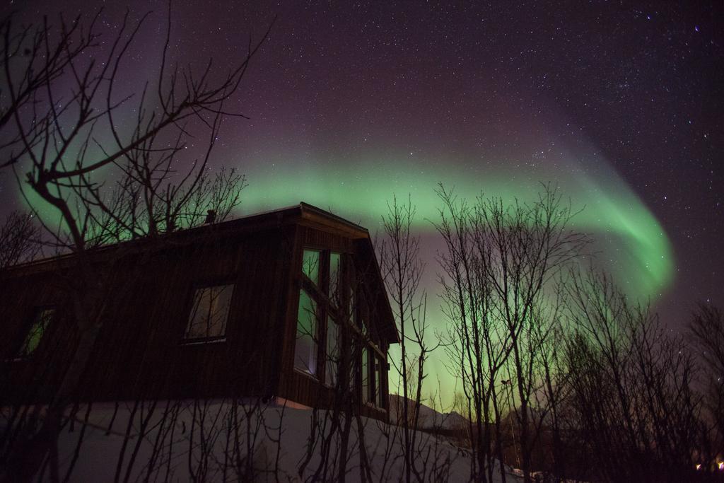 Aurora View Cabin Lyngseidet Экстерьер фото