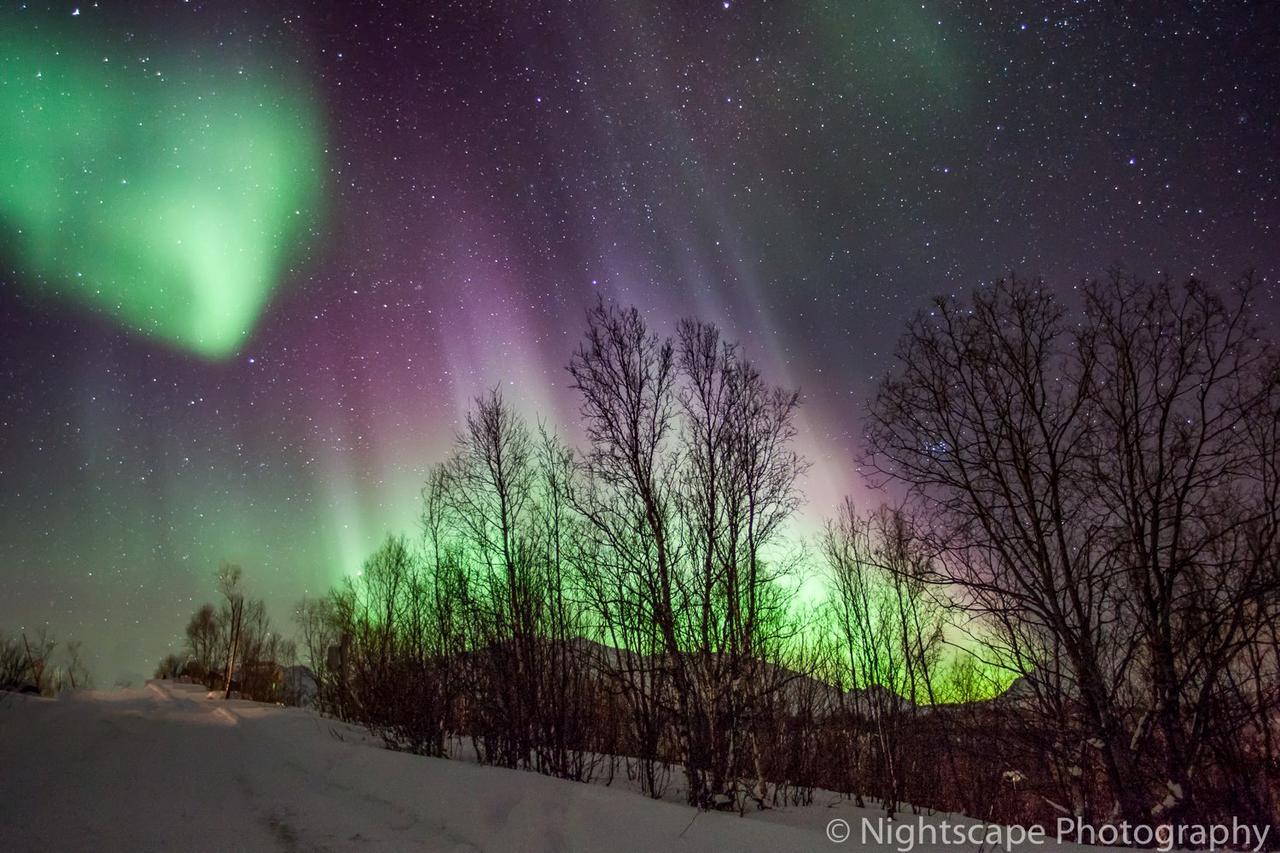 Aurora View Cabin Lyngseidet Экстерьер фото