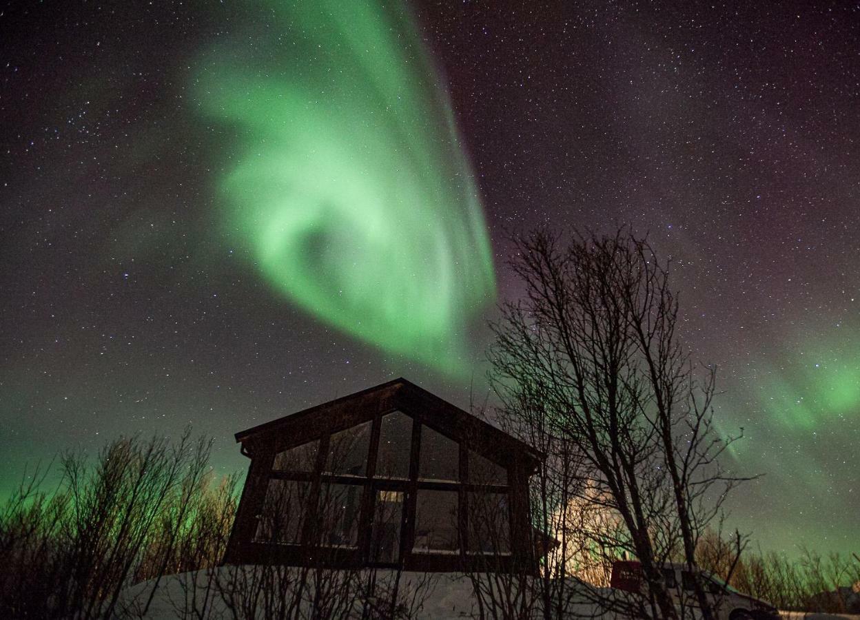 Aurora View Cabin Lyngseidet Экстерьер фото